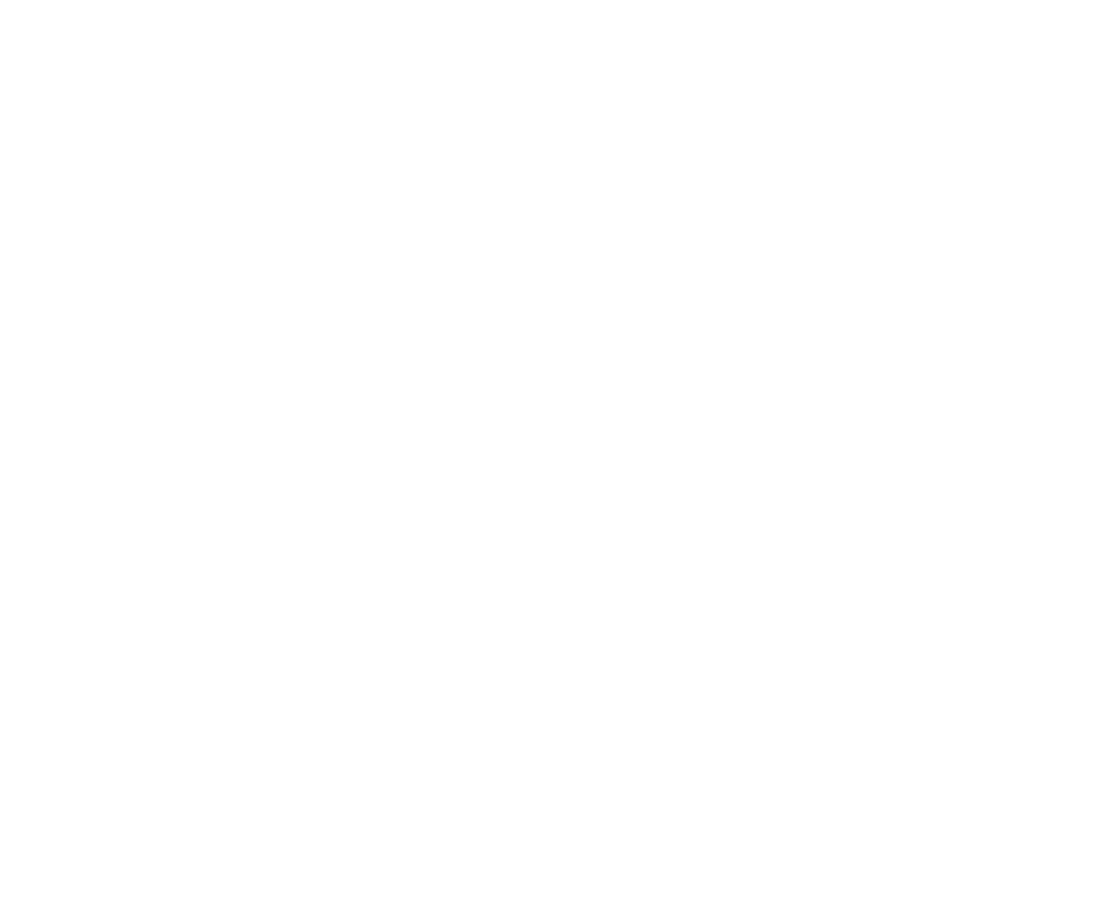 vantage-logo-wh